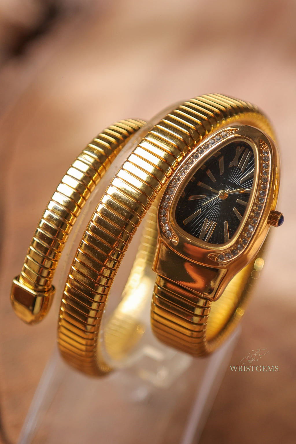 Snake Charm - Black Dial